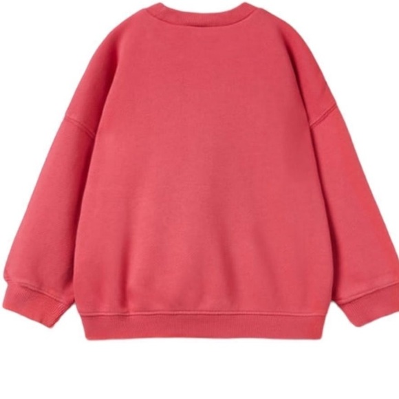 NWT Zara pink pullover sweatshirt baby girl 12-18 months - Picture 1 of 4